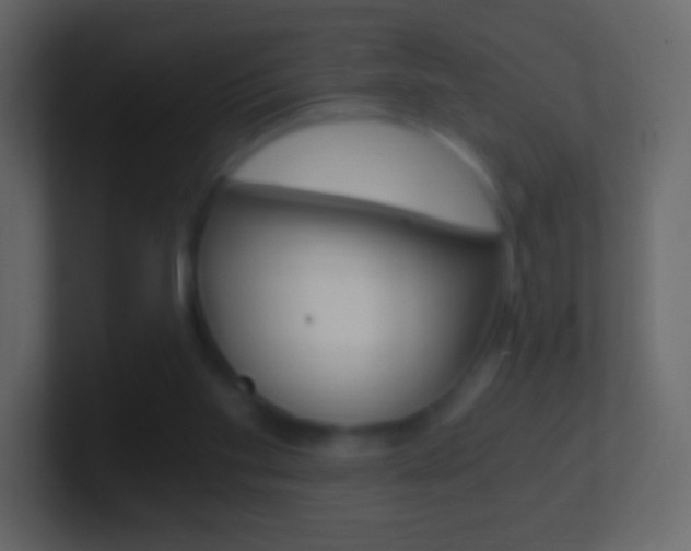 X0000101460109200807071141
