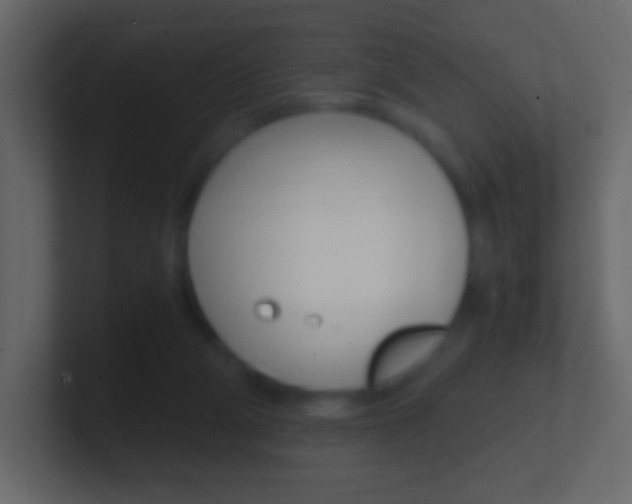 X0000101460114200807071140
