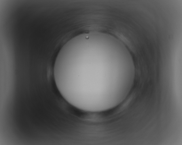X0000101460117200807071140