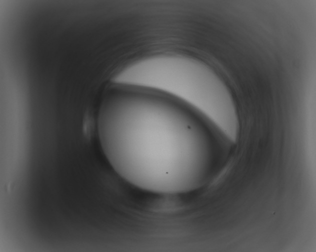 X0000101460124200807071140
