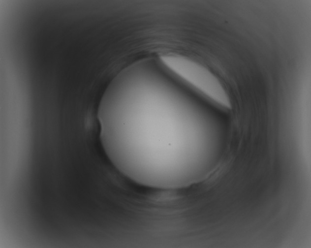 X0000101460132200807071140