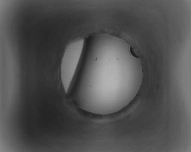 X0000101460144200807071140