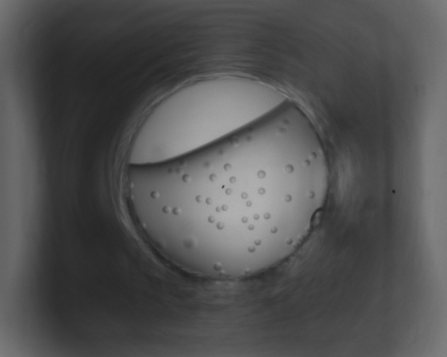 X0000101460145200807071139