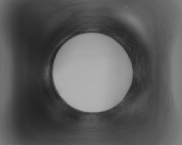 X0000101460146200807071139