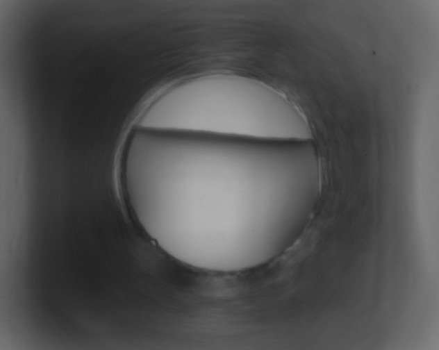 X0000101460147200807071139