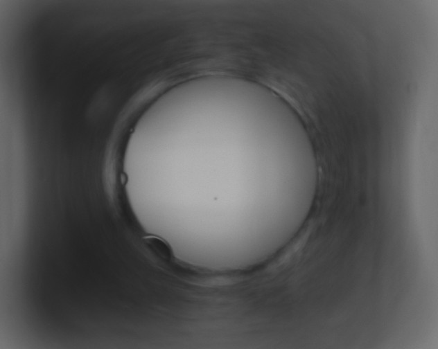 X0000101460149200807071139