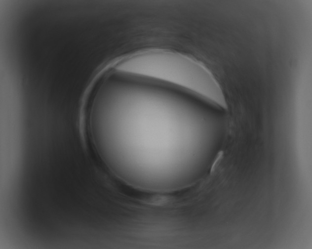 X0000101460152200807071139