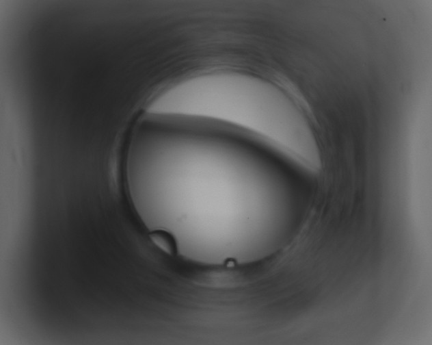 X0000101460154200807071140