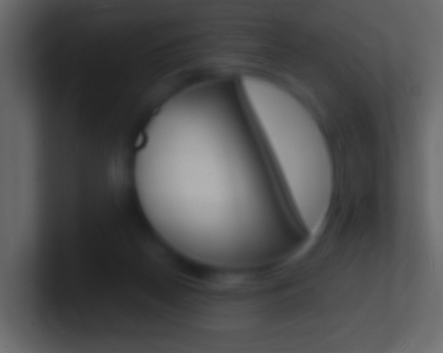X0000101460170200807071140