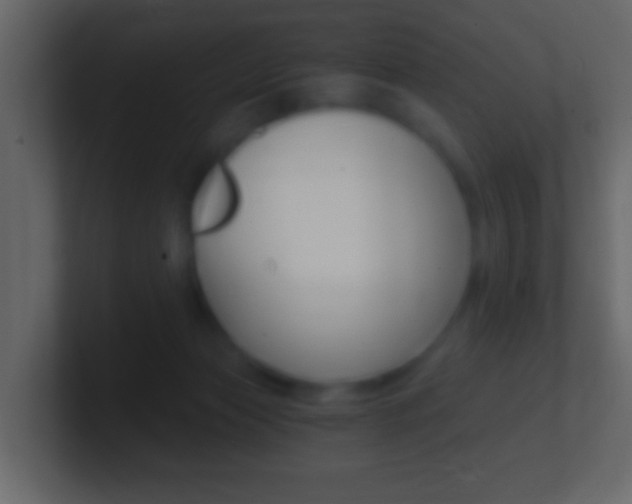 X0000101460173200807071140