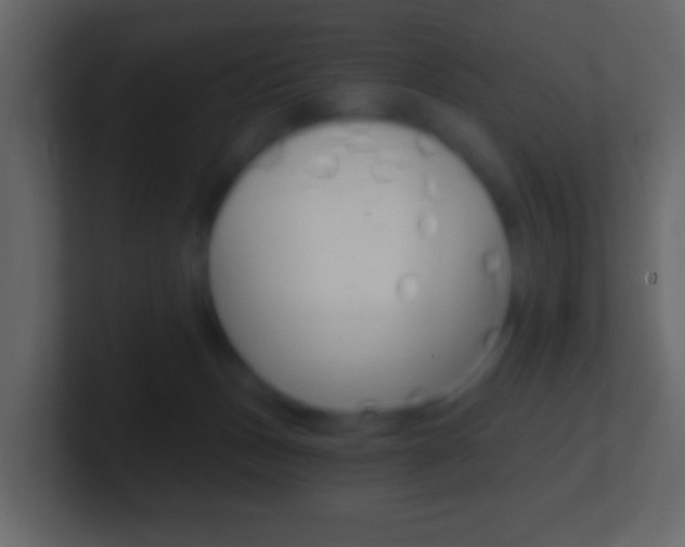 X0000101460175200807071140