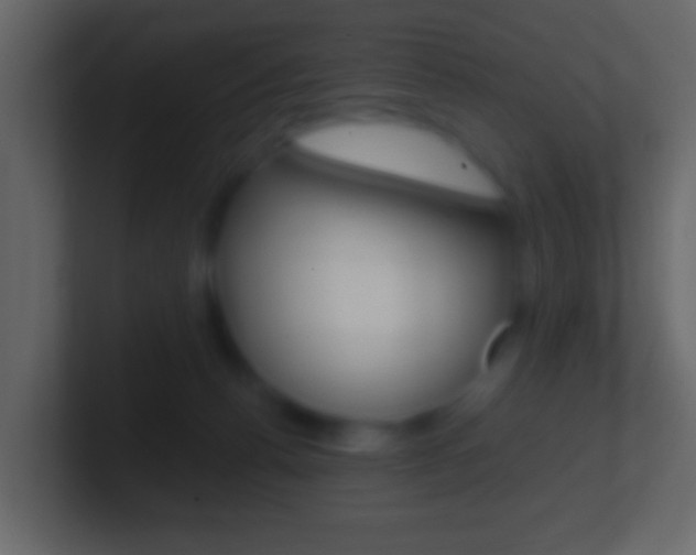 X0000101460176200807071140
