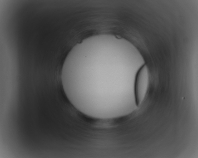 X0000101460179200807071140