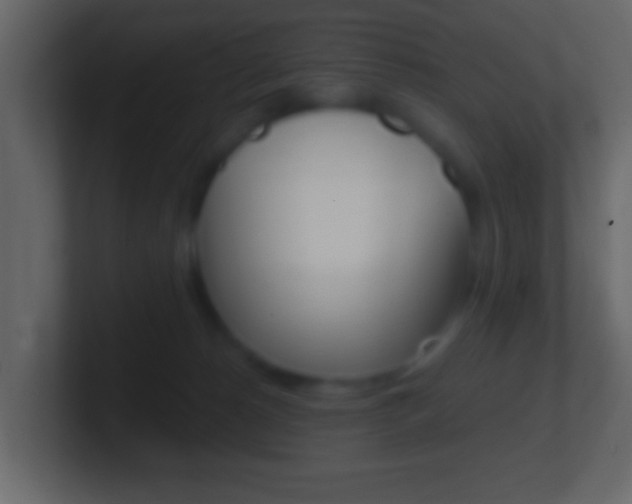 X0000101460180200807071140