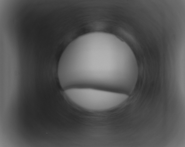 X0000101460181200807071140