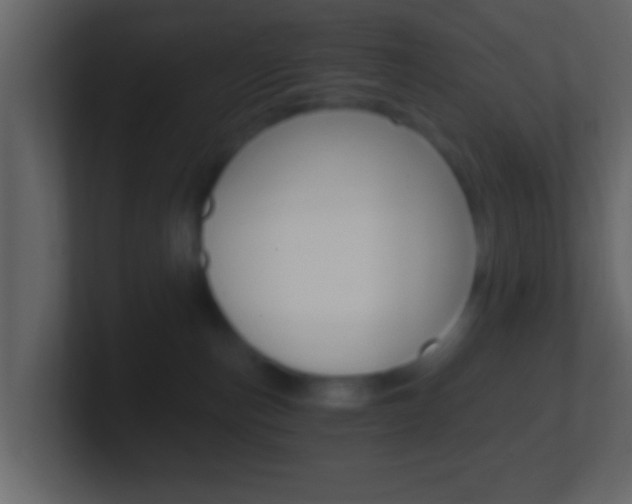 X0000101460187200807071140