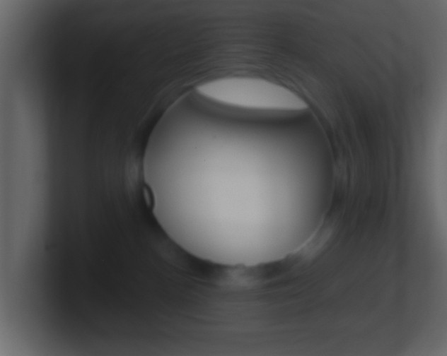 X0000101460188200807071140