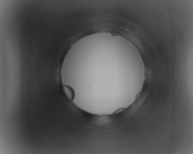 X0000101460189200807071140