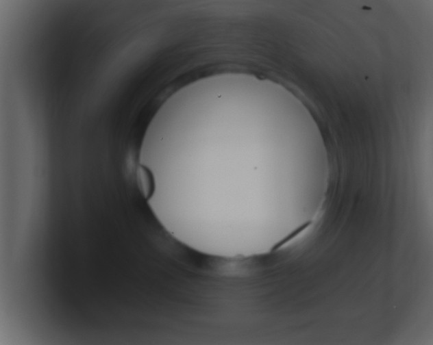 X0000101460191200807071140