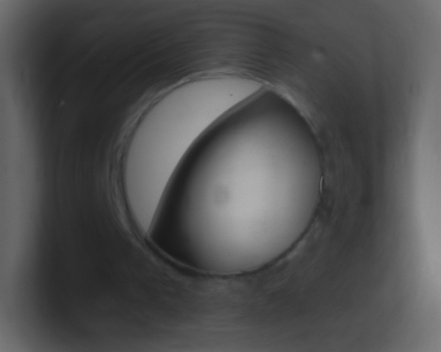 X0000101460193200807071139