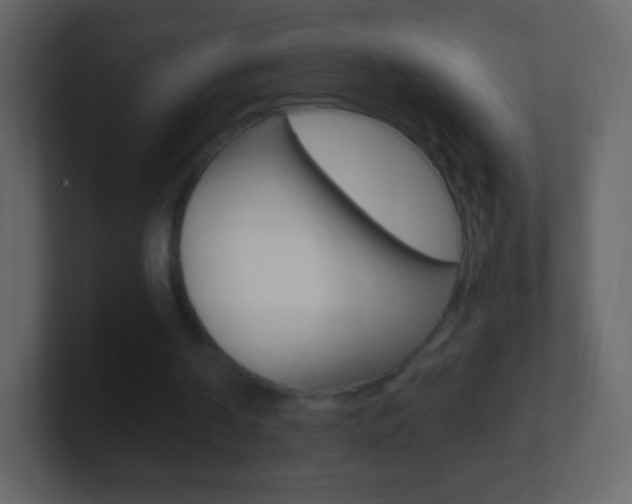 X0000101460194200807071139