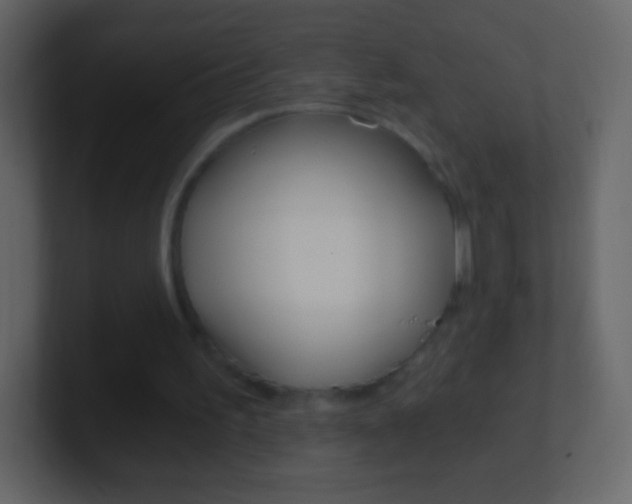 X0000101460195200807071139