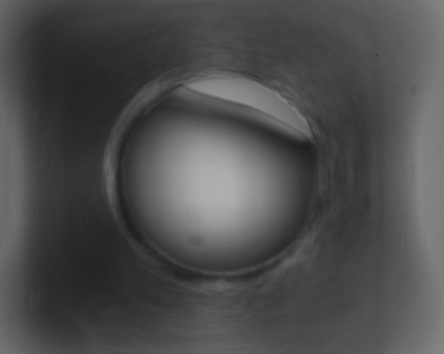 X0000101460197200807071139
