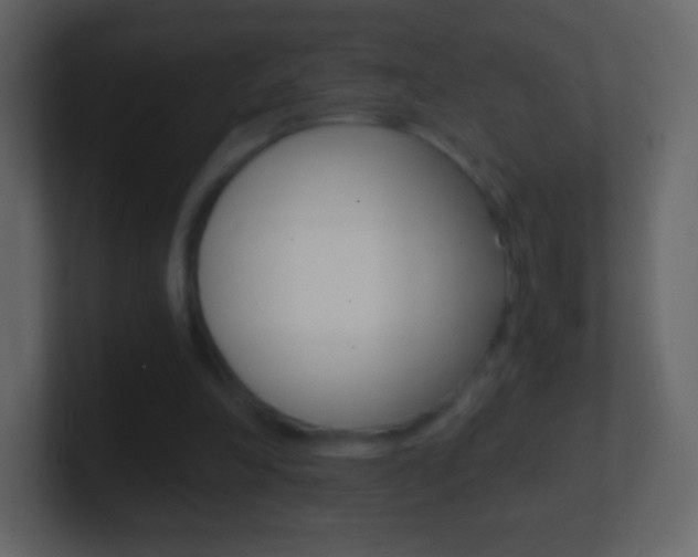 X0000101460198200807071139
