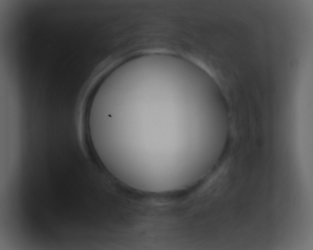 X0000101460199200807071139