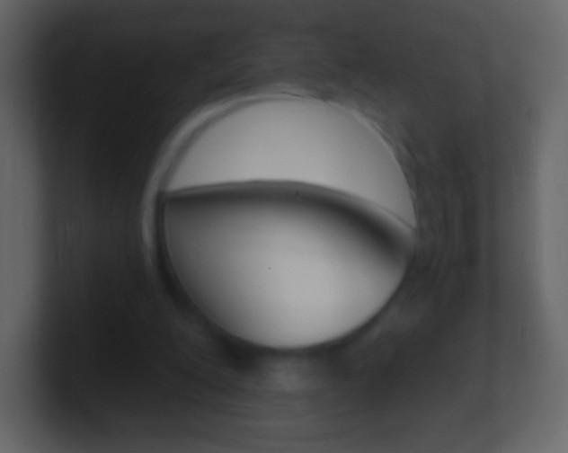 X0000101460200200807071139