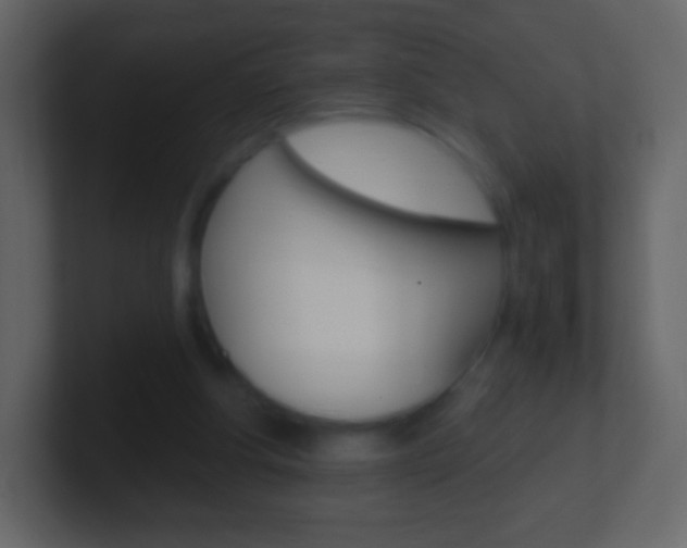 X0000101460202200807071139