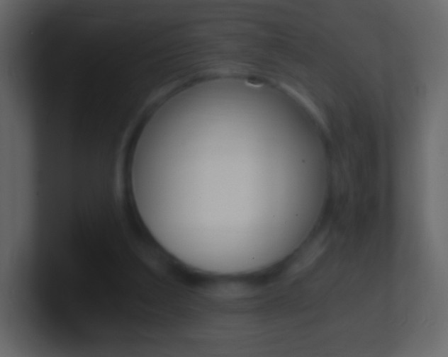X0000101460203200807071139