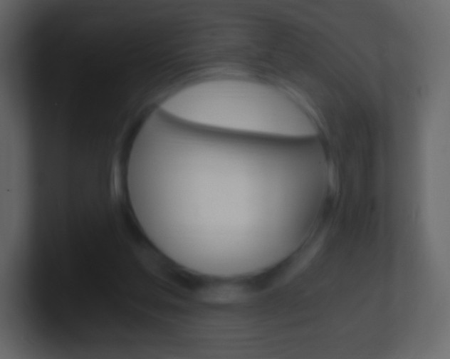 X0000101460205200807071139