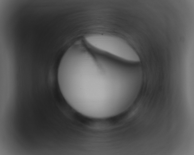 X0000101460215200807071139