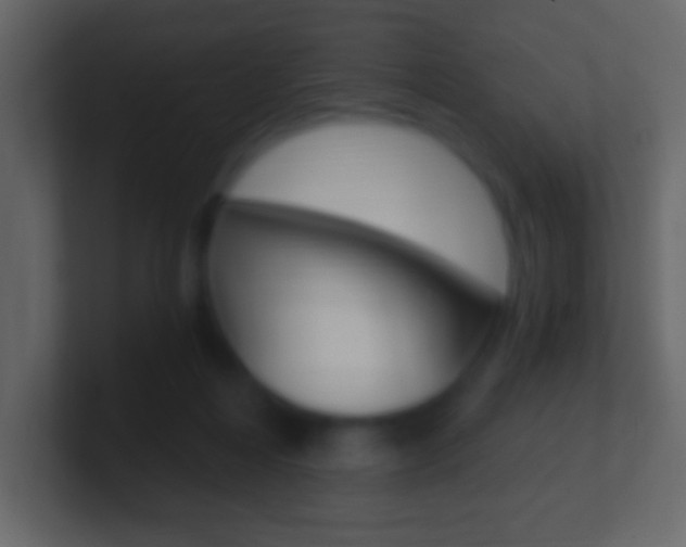 X0000101460216200807071139