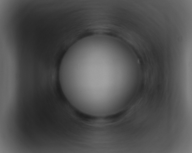 X0000101460219200807071139