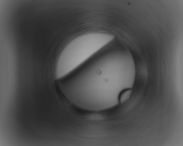 X0000101460224200807071139