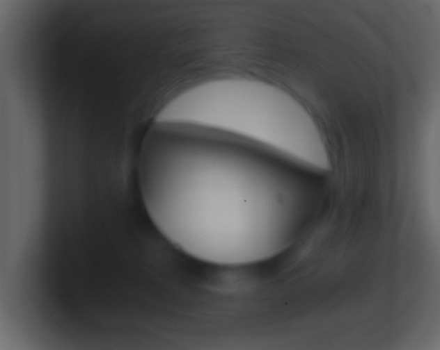 X0000101460229200807071139