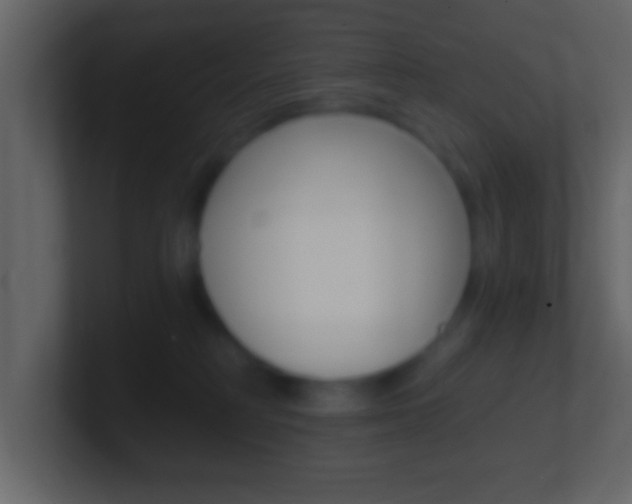X0000101460230200807071139
