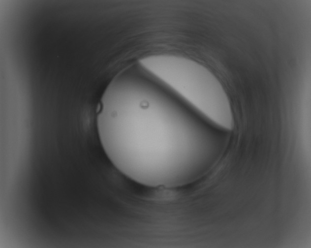 X0000101460233200807071139