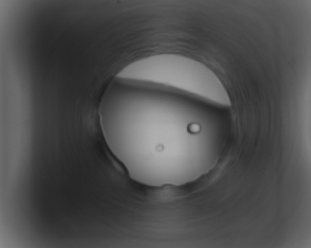 X0000101460237200807071139