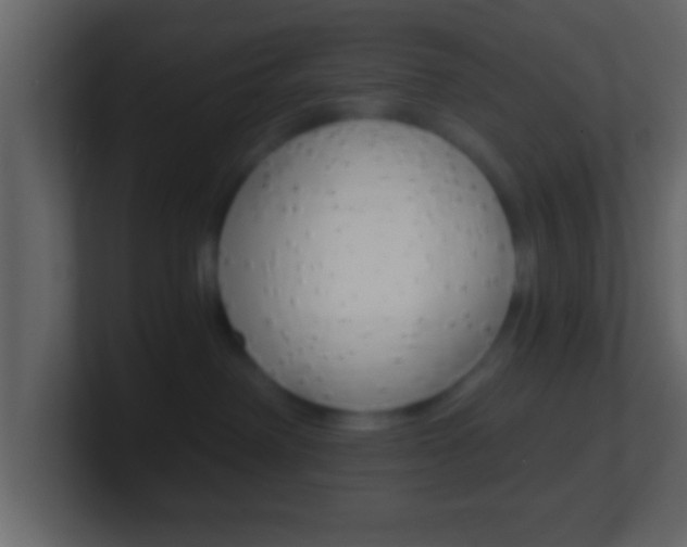 X0000101460238200807071139