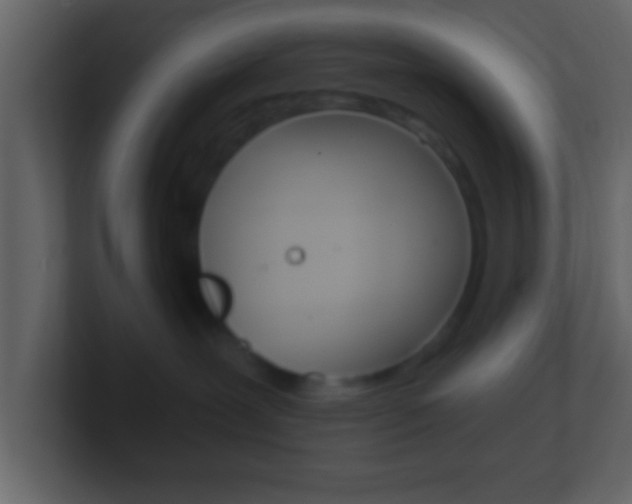 X0000101460239200807071139