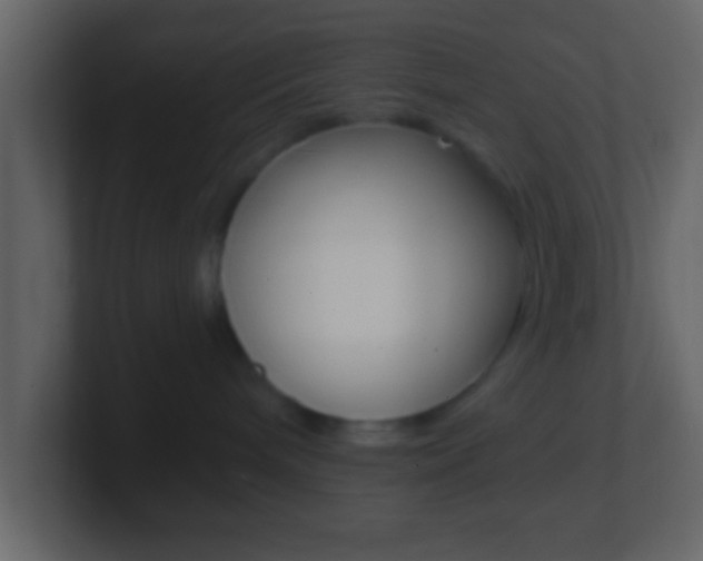 X0000101460240200807071139