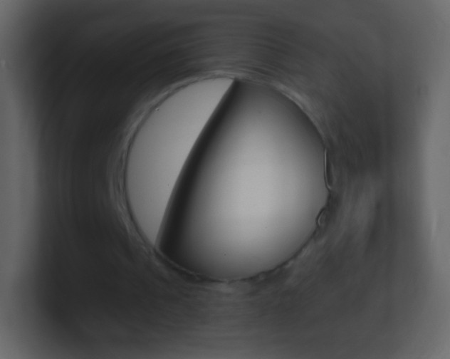X0000101460241200807071138