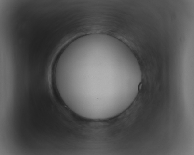 X0000101460242200807071138