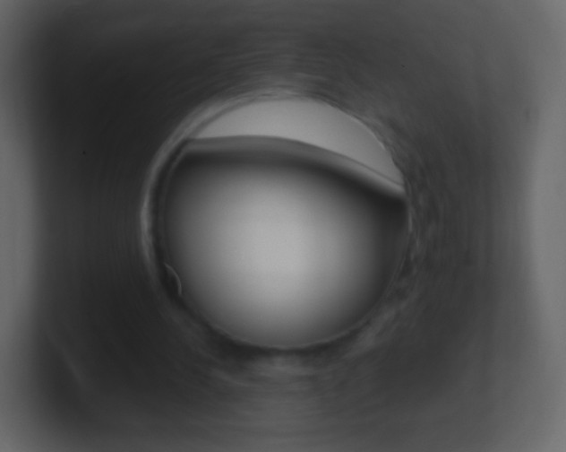 X0000101460244200807071138