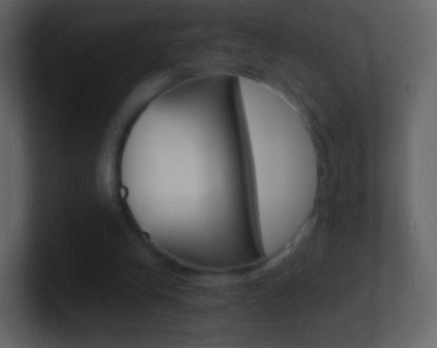 X0000101460245200807071138