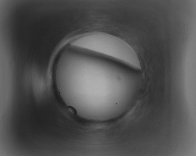 X0000101460246200807071138