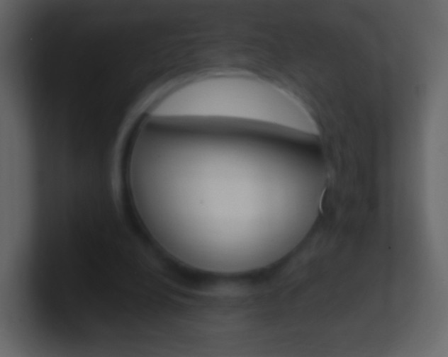 X0000101460248200807071138